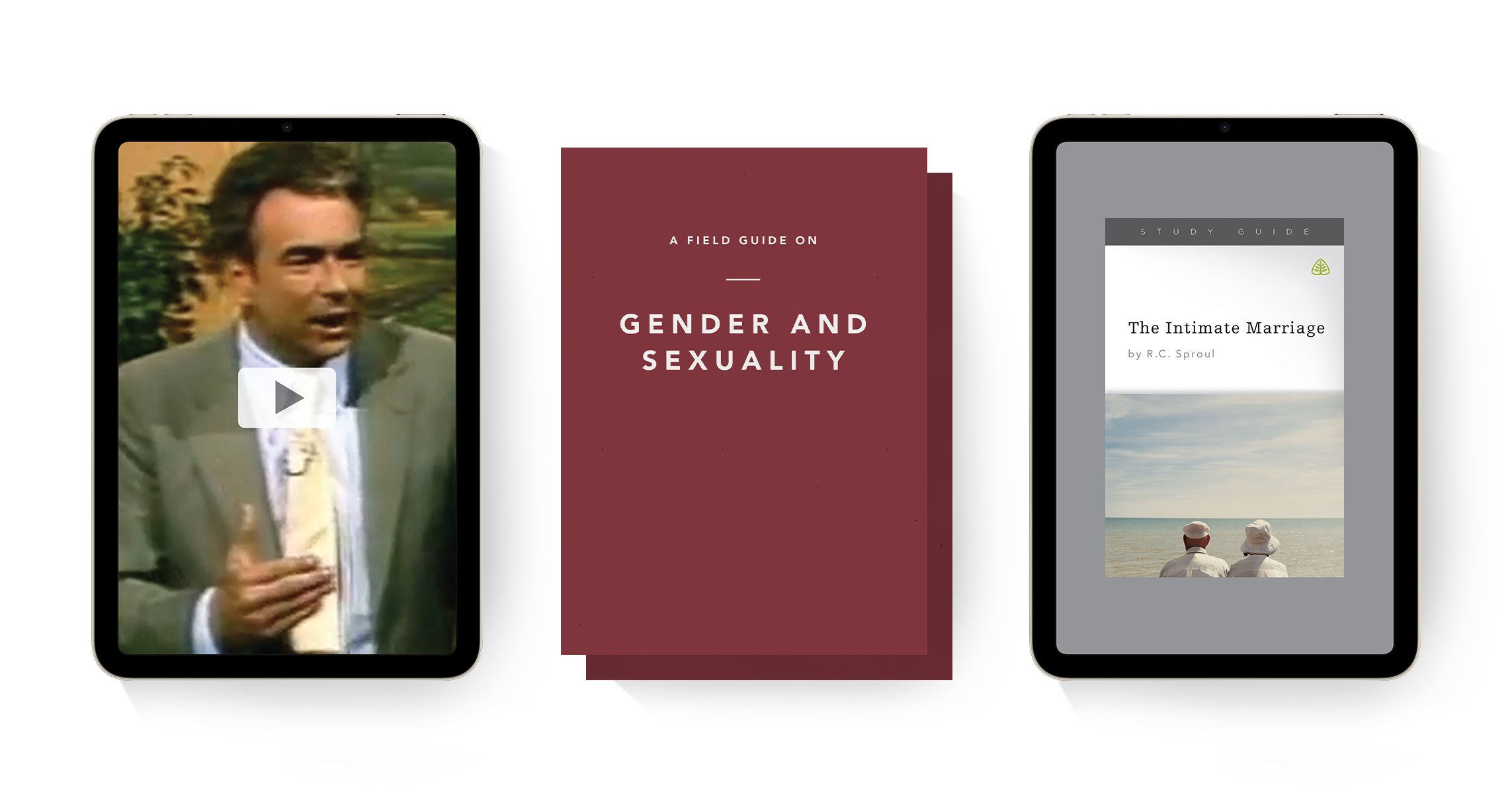 A Field Guide on Gender and Sexuality