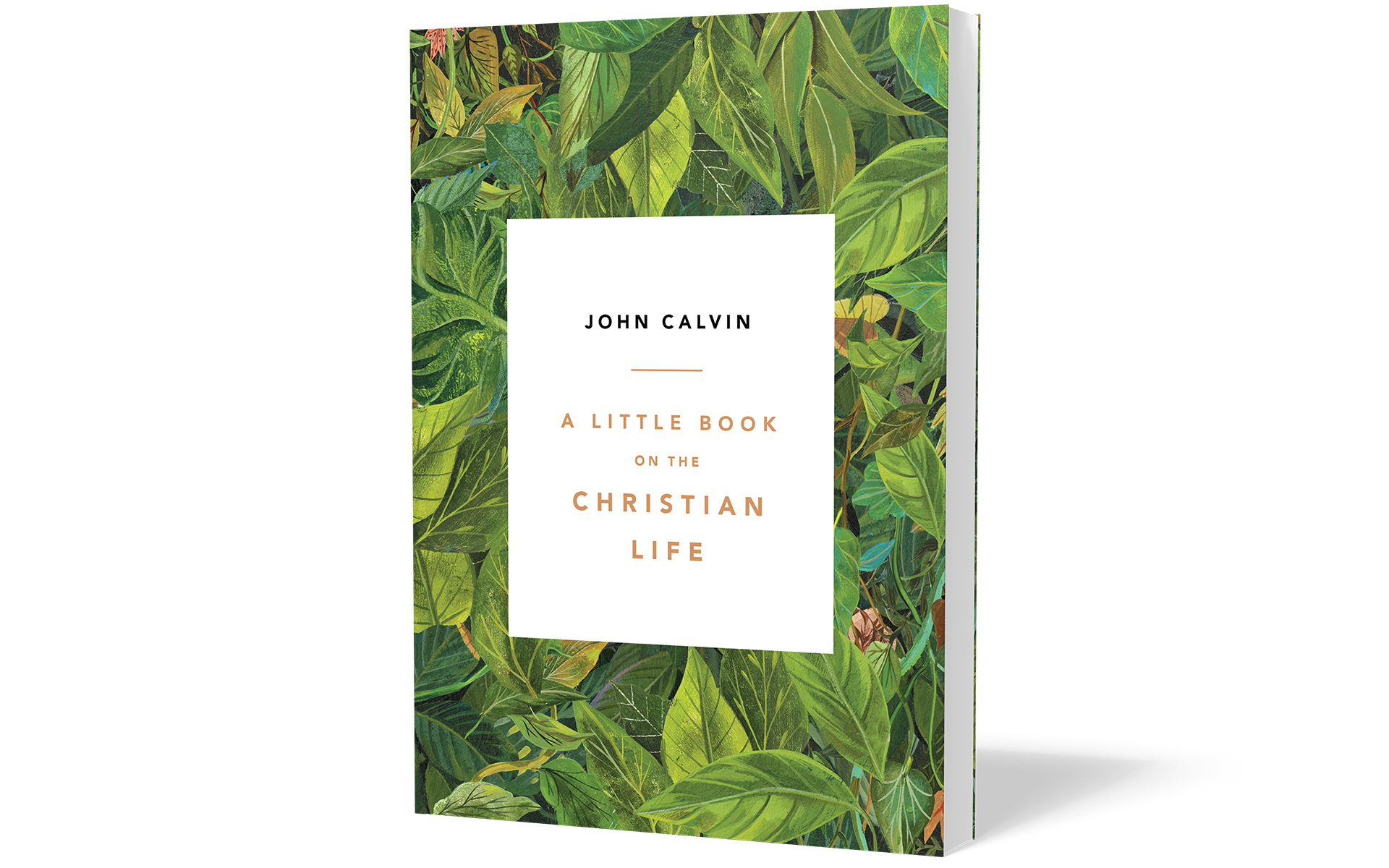 A Little Book on the Christian Life, leaves cover