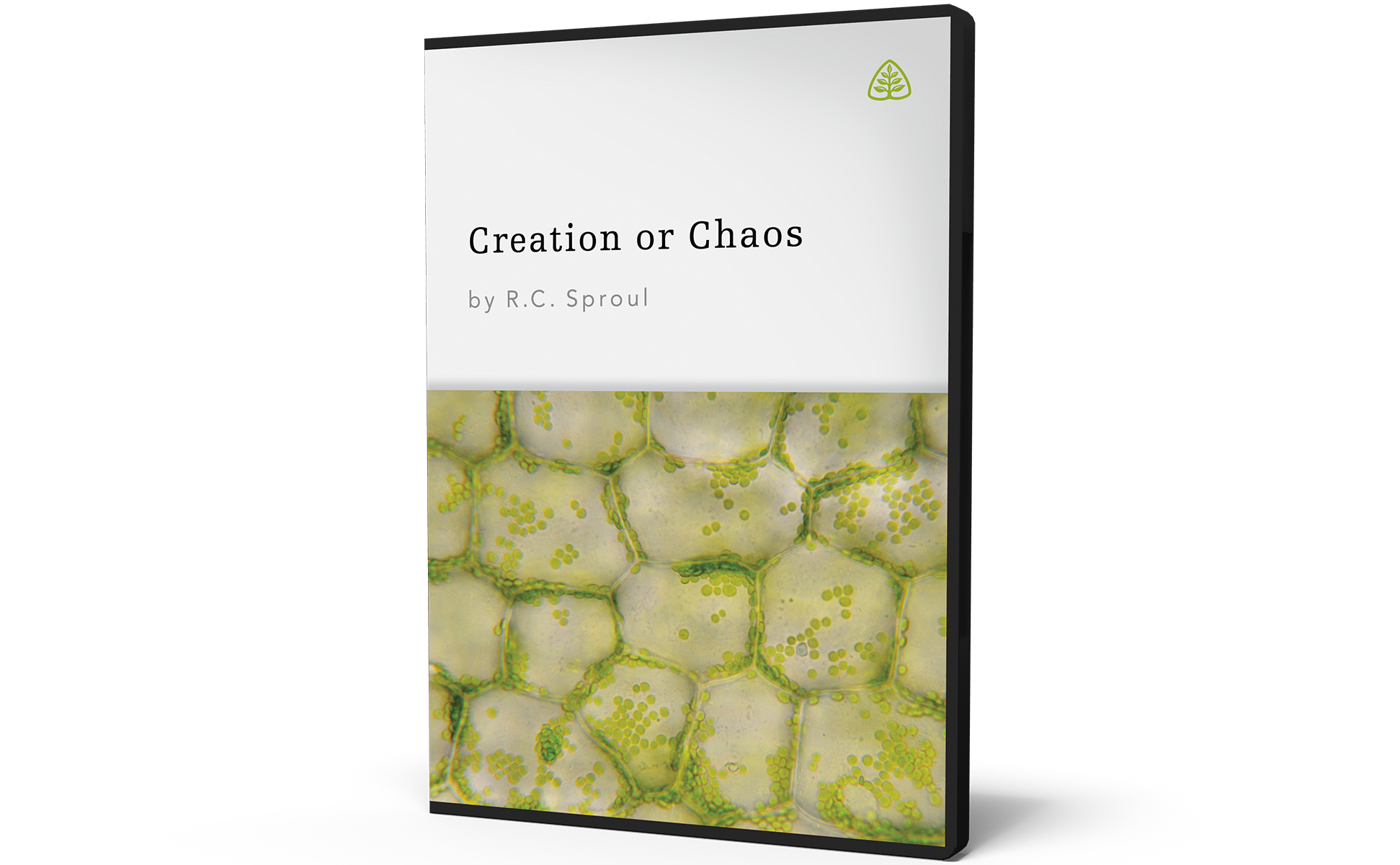 Creation or Chaos: Modern Science and the Existence of God
