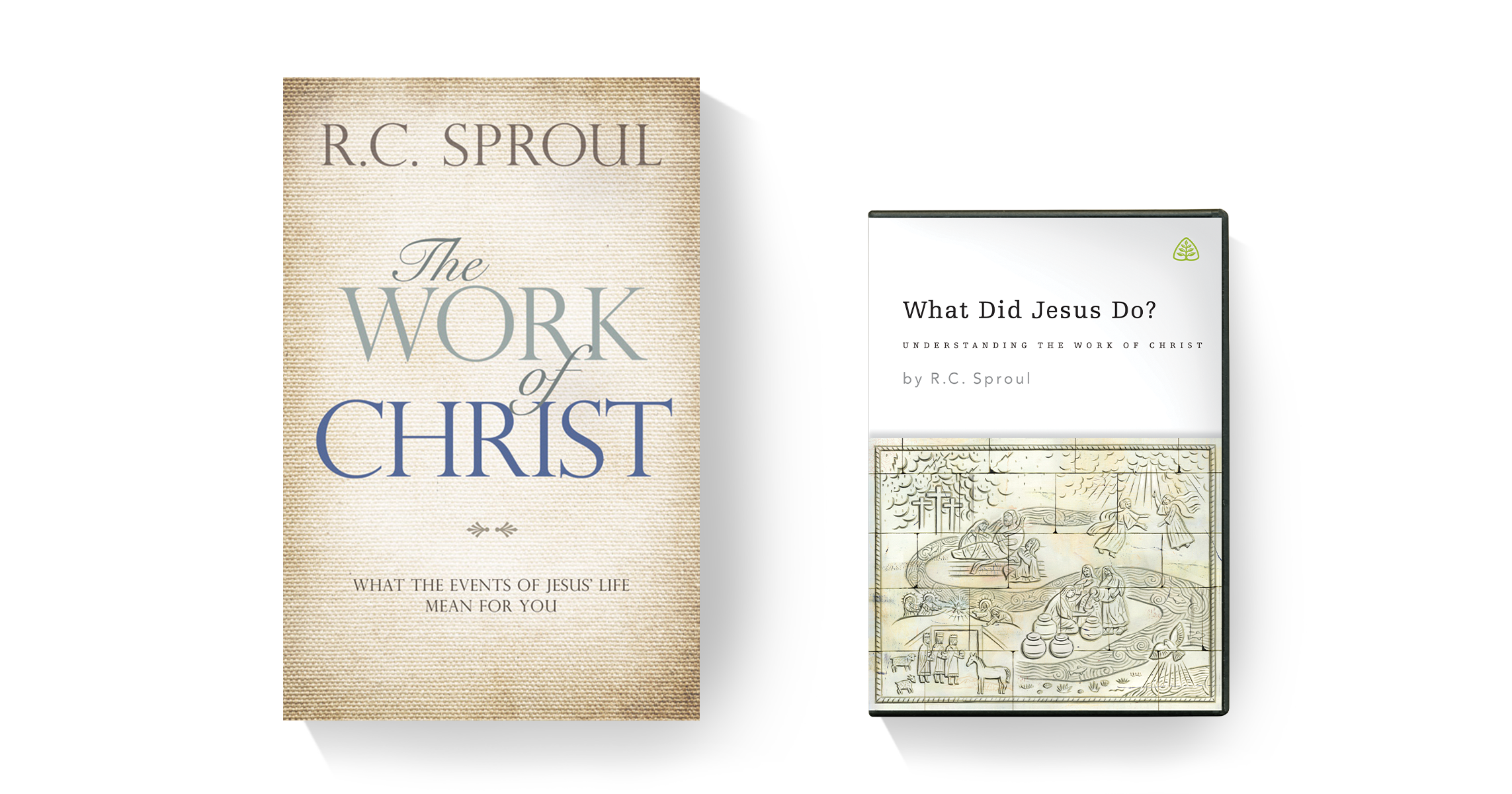 What Did Jesus Do?: Understanding the Work of Christ